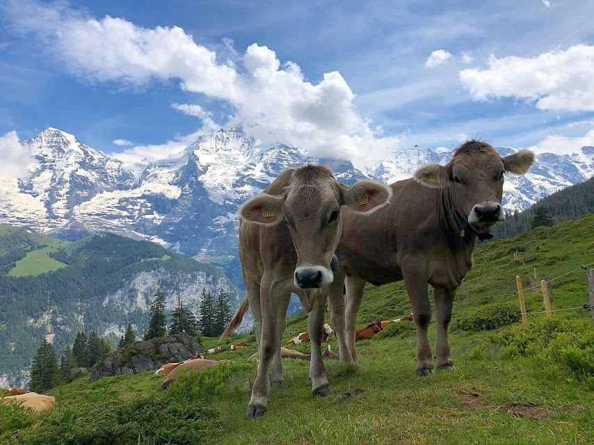 Switzerland