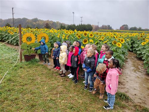 Pre-K Counts 2