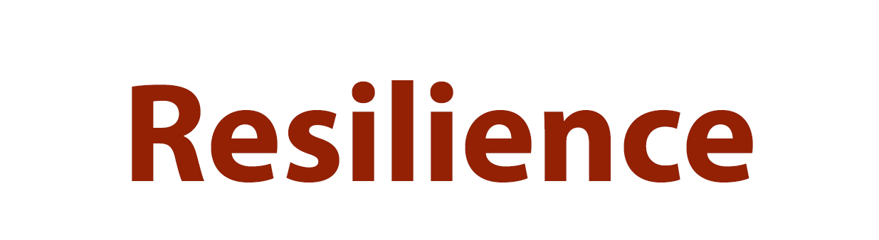 Resilience 