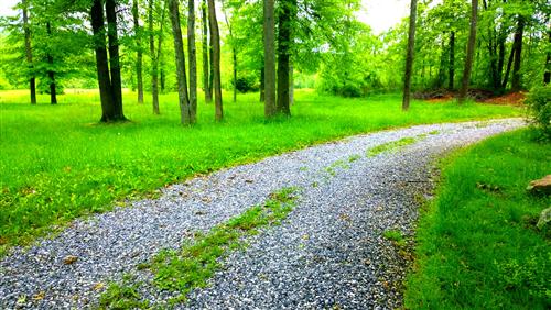 frenchcreekroad 