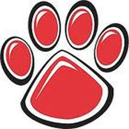 Mrs. Diane Raab Mrs. Diane Raab