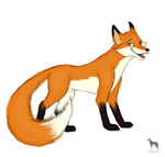 The Fox page. 