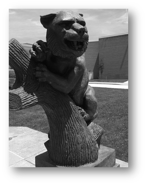 wildcatstatue 